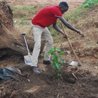 Antonio Kalyango (@antoniokalyango) 's Twitter Profile