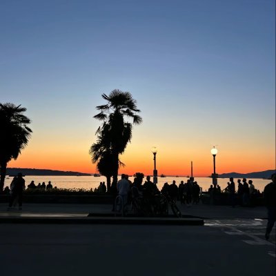 shine1886173's profile picture. 