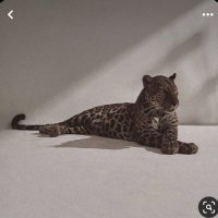 Alaa. (@ala2_01) 's Twitter Profile Photo