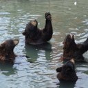 Edwin nickerson - @ernickerson - Twitter