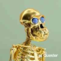 fetqquester's profile picture. Nftcrypto project promoter & social media marketing 📈 bitcoin binance nft solana - i have no active telegram account - this is the only official page