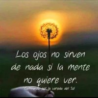 M.T. 🇨🇴 (@mariateresapin2) 's Twitter Profile Photo
