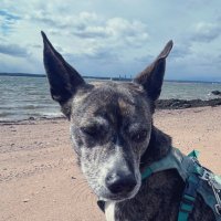 Stephanie Prufer (@stephprufer) 's Twitter Profile