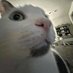 Do3455 (@lonelycat813) Twitter profile photo Do3455 (@lonelycat813) Twitter profile photo