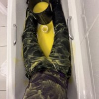 Messy Guy (@messyguyuk) 's Twitter Profile