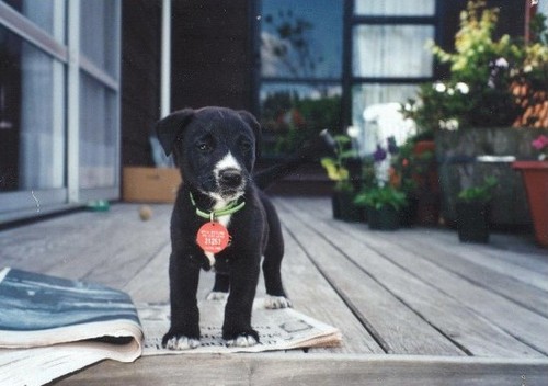 theoneatone's profile picture. Facilitator. Counsellor. Relationships my specialty.  Green Peace contributor who appreciates the givers in our society who CARE for others. Not self interest.