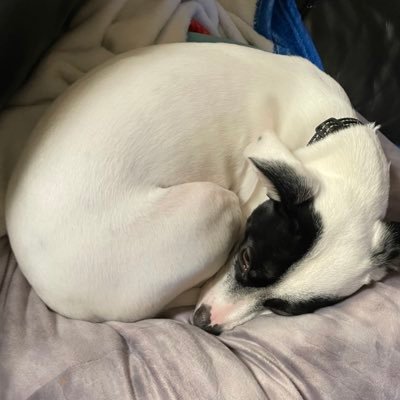 bigumburger's profile picture. 