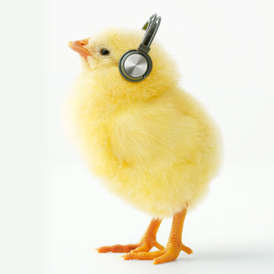 persibro's profile picture. 