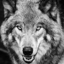 WALEED AHMAD - @waleedahmadpro - Twitter