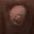 cumless cuck (@dani220974) Twitter profile photo cumless cuck (@dani220974) Twitter profile photo