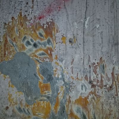 yasunon70's profile picture. 