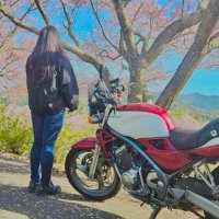 あきぽ🔰Z400RS渇望(@akipo_1013) 's Twitter Profile Photo