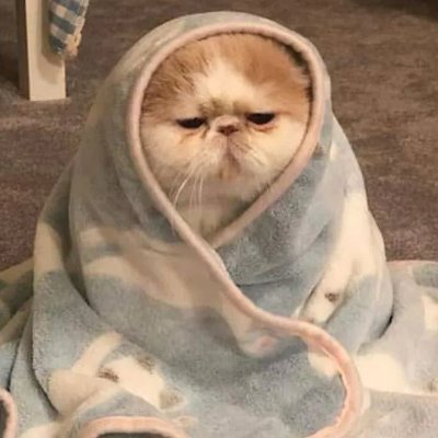 HermioneMc199's profile picture. 100% Follow back. 
Crypto trader. Crypto enthusiast. #Cronos holder.