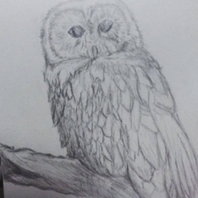 GenChari0915233's profile picture. 【粉も積もればダークマター】画面見てる時はいいねの早押しに命かけてます/ discord(手羽高)に生息/ガチ勢程じゃないけど原神やってる