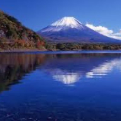 forester8370197's profile picture. 千葉県在住、都内勤務、会社員、趣味キャンプ