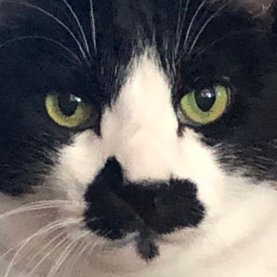 ねるこさんのプロフィール画像