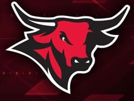 UNOBaseball's profile picture. 