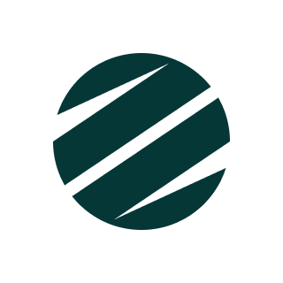 ZenRows Profile