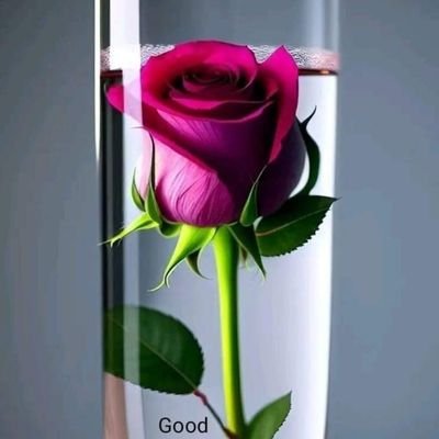 SalimKh17076940's profile picture. 