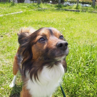 tetuya333333's profile picture. 