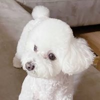 🍥⸝꙳ (@en______hoon) 's Twitter Profile