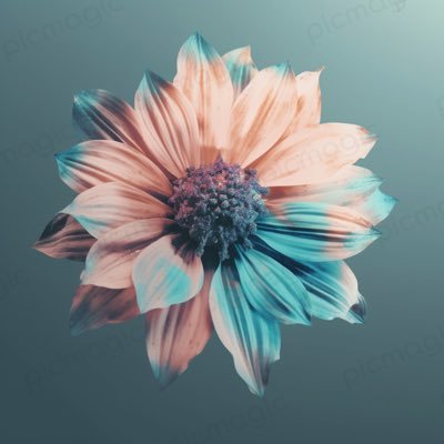 mako4584093390's profile picture. 夫からのモラハラになかなか気づけず心身ボロボロに。日々の記録と、皆様の経験談を拝見したく開設しました。無言フォロー失礼いたします。