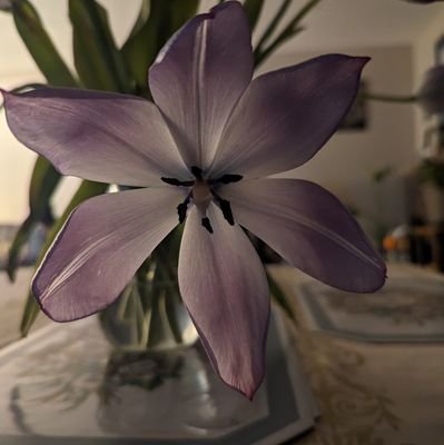 Cherakasoloist's profile picture. CYW... Advocate for your children and youth. Just ask for more info and you shall know :-)