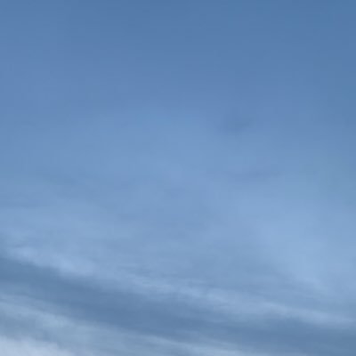 Memetz52023360's profile picture. 