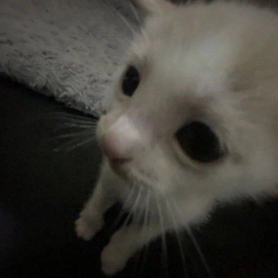 jumpookkuu62940's profile picture. แอคนี้รักแฟนมากกก ก ก ก