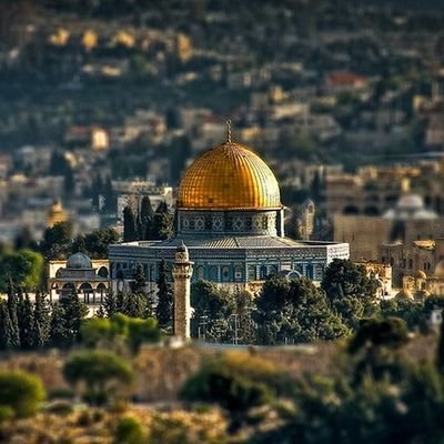 GulR0140044's profile picture. MKÜ/
Acil yardım ve afet yönetimi🚨