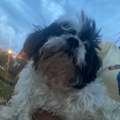 KimmieAna's profile picture. 🤍