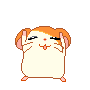 pororisz Profile Picture