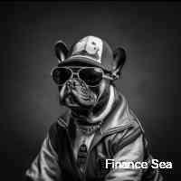 sseafinancee's profile picture. Nft founder game dev generative artist acrylic painter bullish on ai ethics world builder datamad scientist vr builder coder rogue-like gamer
