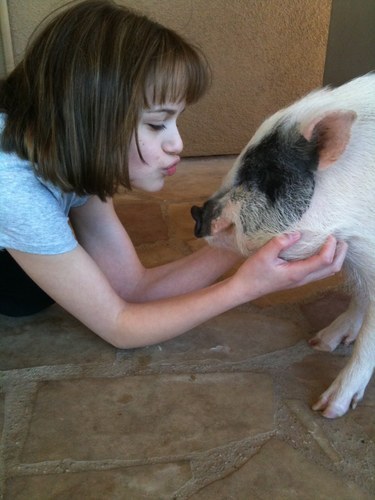 joeyLiittleking's profile picture. official joeyking Twitter I HAVE THE COOLEST FOLLOWERS ON THE PLANET Become a friend on Facebook