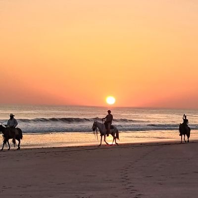 fjbautista2013's profile picture. Escritor, economista, especialista en seguridad ciudadana. Paz y bien. Nicaragua.