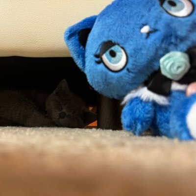 M11k4400's profile picture. まだ18歳 Adoさんに惚れてます✨ 熱海に住んでます 勝手にフォローさせてもらいます！ 仲良くしてほしいです！！