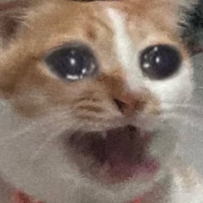 name’s actually AiNam | Draw stuffs | NBT Enjoyer | They/Them | mid 20s | JP/TH/EN ok |