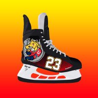 SkateSkins® (@realskateskins) 's Twitter Profile