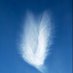 UC_Patriot (@uc_patriot) Twitter profile photo UC_Patriot (@uc_patriot) Twitter profile photo