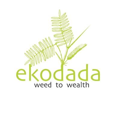 Ekodada is a woman-led social enterprise and impact venture of Chelaba Women Community-Based Organization, headquartered in Baringo, Rift Valley, Kenya.