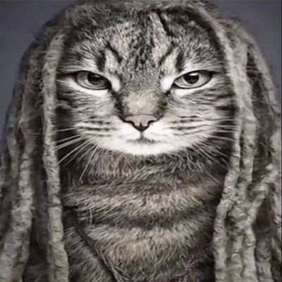 @aliennugget688 art archive :333