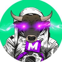 Memoo 🐂 (@memooai) 's Twitter Profile