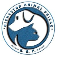 Bienestar Animal Priego de Córdoba (@bienanipriego) 's Twitter Profile Photo Bienestar Animal Priego de Córdoba (@bienanipriego) 's Twitter Profile Photo