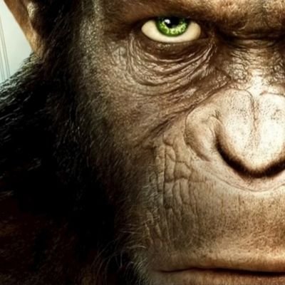 c_moussaab's profile picture. vibe alone | Zero-based budgeting