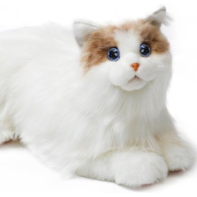 Robopets is celebrating 6 Years of supplying Robotic Companion Pets - proven to help reduce stress and anxiety for people living with Dementia