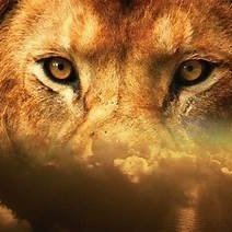 bigwiz749593's profile picture. 