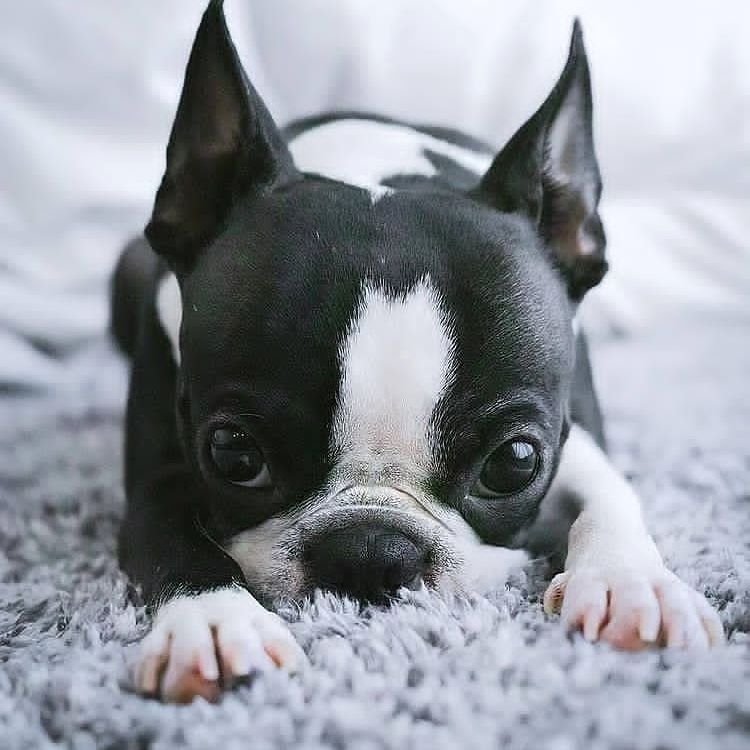 wFZc7q8vdD14BFW's profile picture. The growth of wisdom may be gauged exactly by the diminution of ill temper.