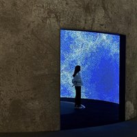 Allison (@g19ih89fkopncx) 's Twitter Profile