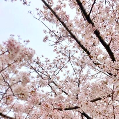 HANA1ove_khat's profile picture. nmmn中心永久🔑垢
成人済み30↑💦
🖤💚、🐣👑、khat
雑多垢ですが、それを了承してくれるお友達、仲良くしてくださいm(_ _)m

無言フォロー等、すいませんm(_ _)m