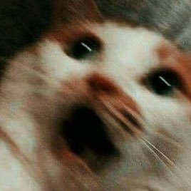 kim_hxnbixgy's profile picture. life is as kind as you let it be. she/her | 98